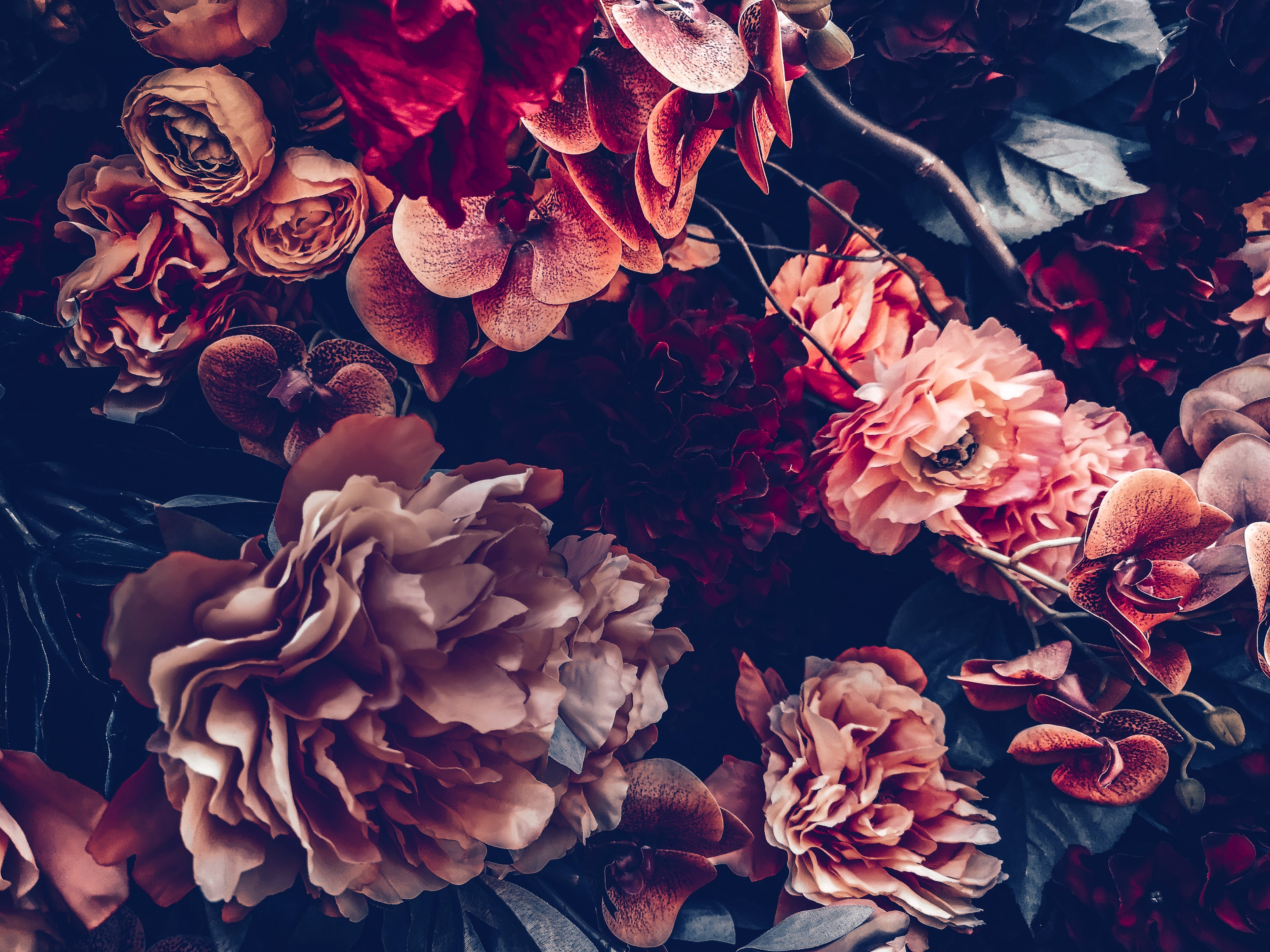 Flowers