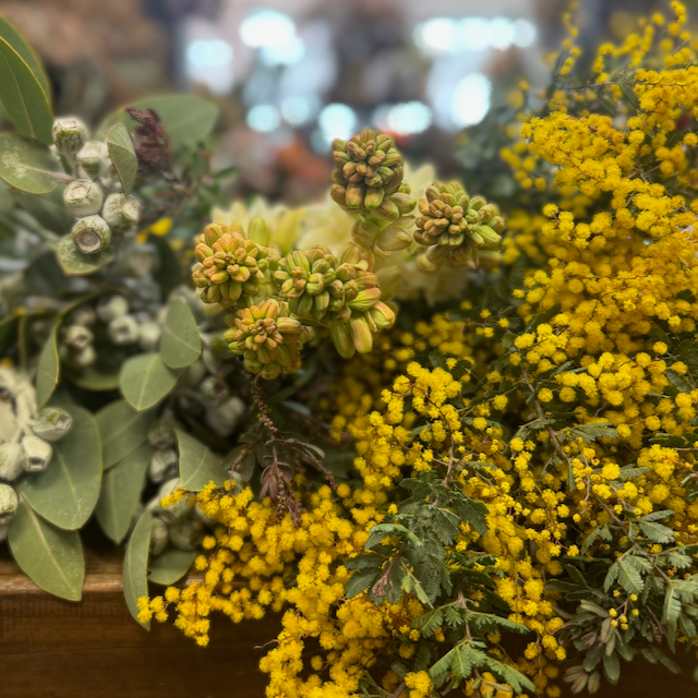 Winter Harvest