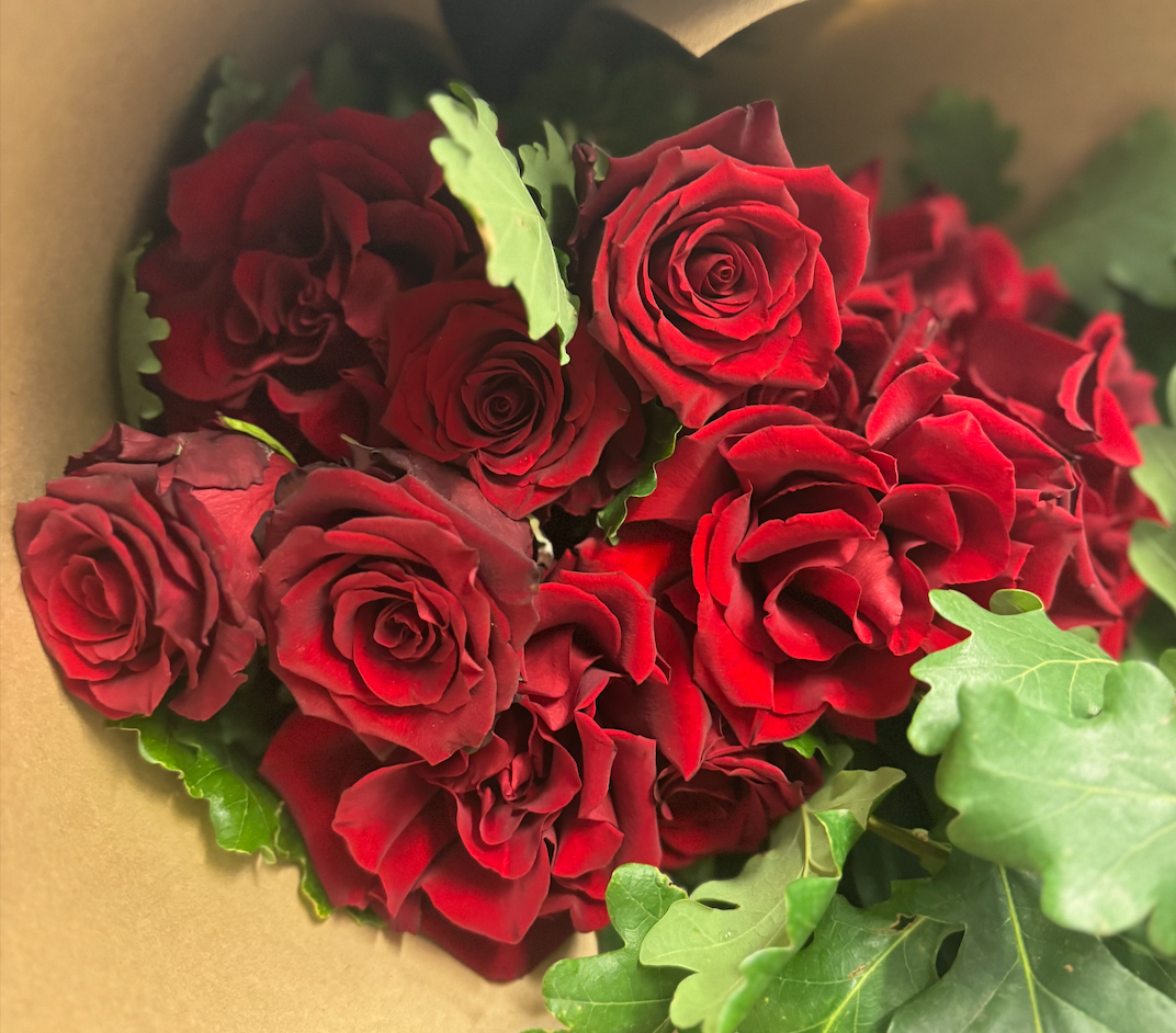 Long Stem Colombian Red Roses