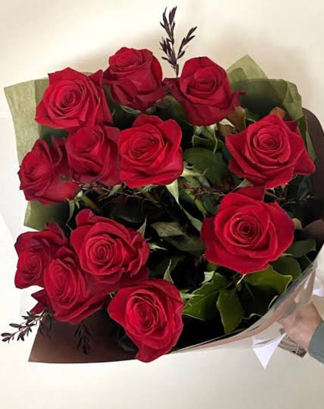 Large Columbian Red Roses